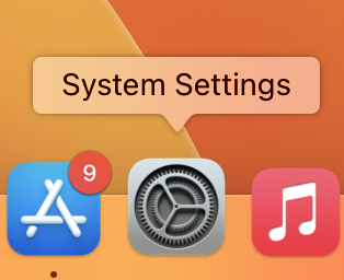 System Settings in Dock
